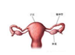 输卵管阻塞性不孕