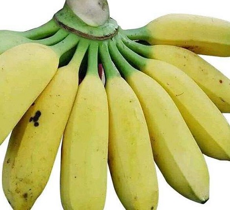 孕妇水果香蕉
