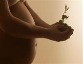 孕期孕妇的饮食禁忌