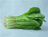 专家建议多吃蔬菜能补钙