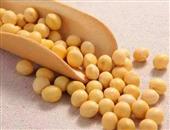 孕妇食谱大豆制品孕妇应谨慎选食