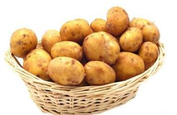 营养师指出孕妇常吃土豆可缓解孕吐