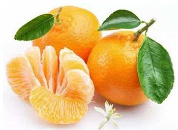 吃沙糖橘容易引发咽炎吗？