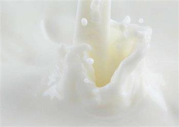 奶粉添加牛初乳 提高宝宝免疫力
