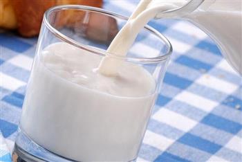 孕妇饮全脂牛奶促进胎儿发育
